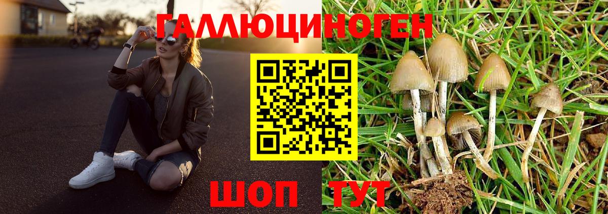 Галлюциногенные грибы Magic Shrooms  Вход с VPN  Псилоцибиновые грибы MAGIC MUSHROOMS  Сургут 